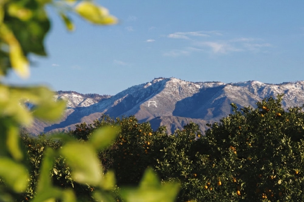 Redlands Tourism Tips Guide